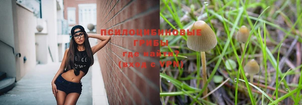первитин Бородино