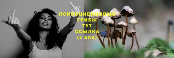 первитин Бугульма