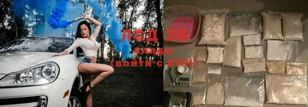 мяу мяу кристалл Богданович