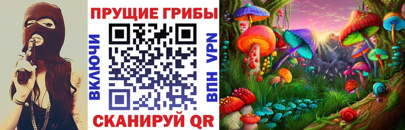 Галлюциногенные грибы Psilocybine cubensis  Вышний Волочёк 