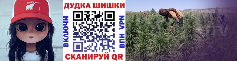 Бошки марихуана сатива  закладки  MEGA ссылка  Вышний Волочёк 